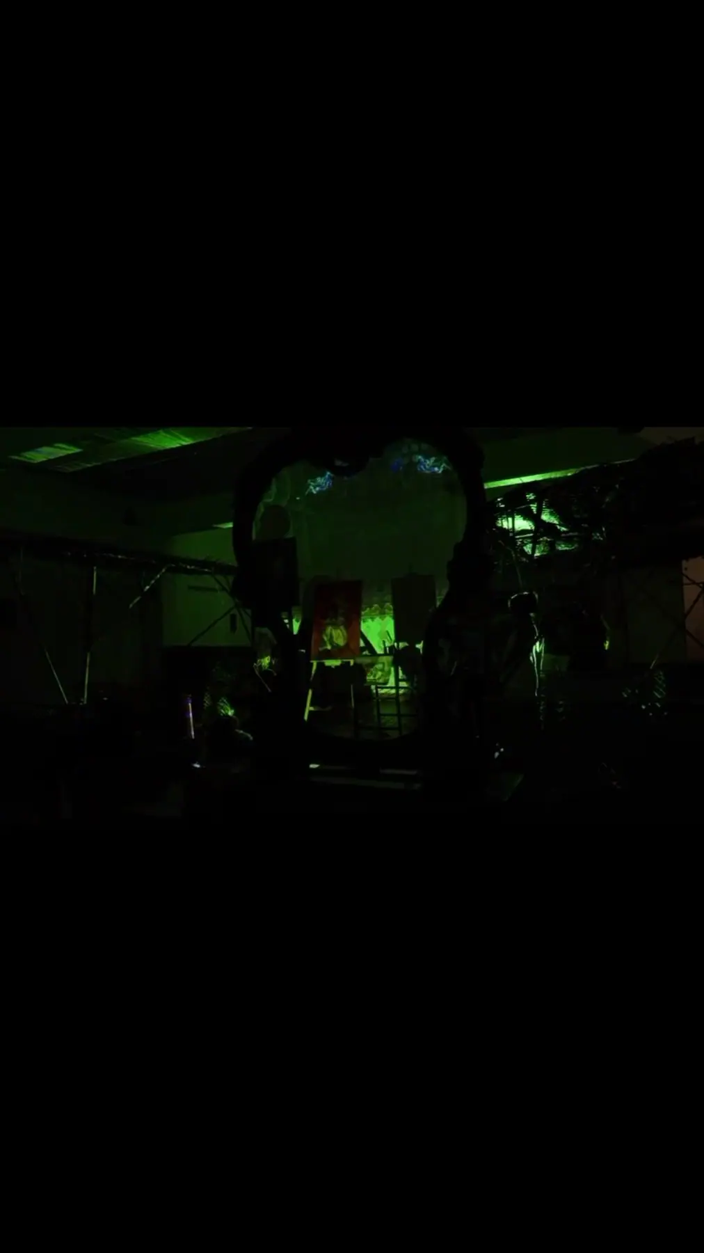 Green light and silhouettes at Eternal horizon
